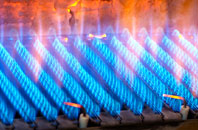Sun Green gas fired boilers